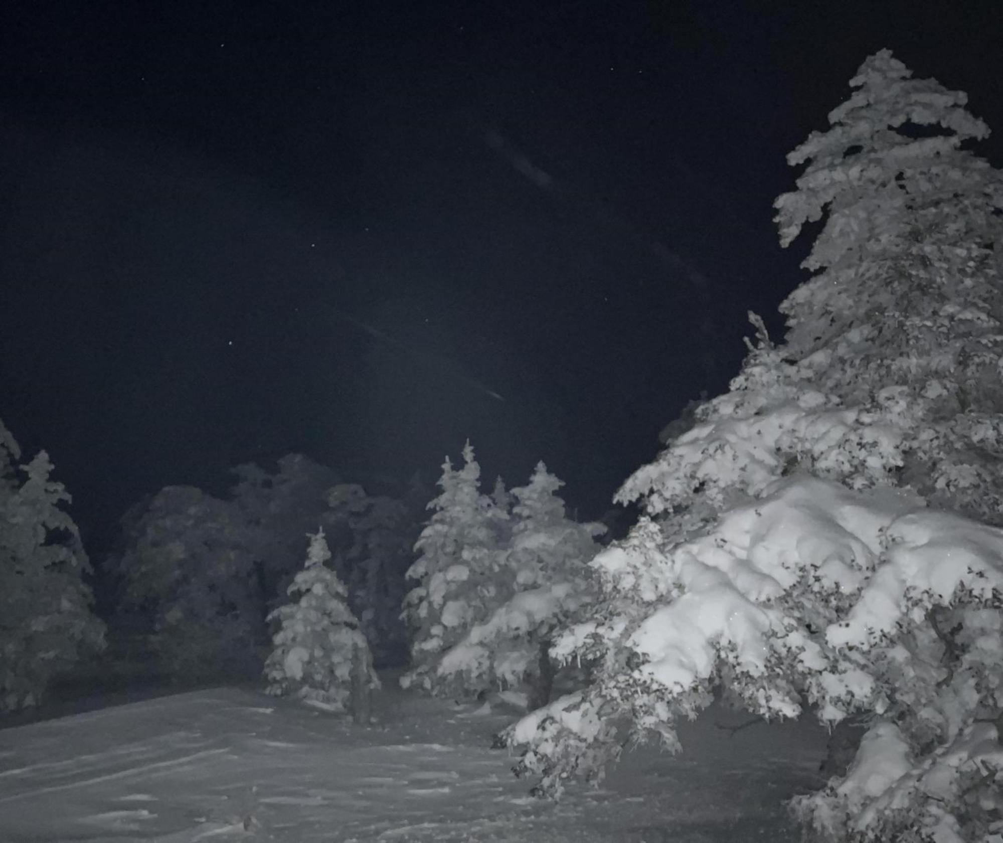 Sachinoyu Hotel Shiga Kogen Yamanouchi  Εξωτερικό φωτογραφία