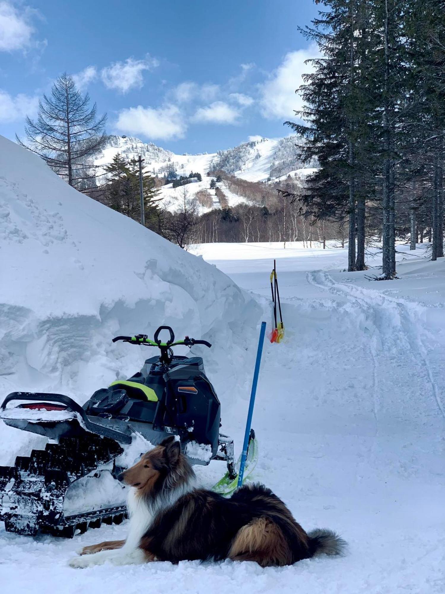 Sachinoyu Hotel Shiga Kogen Yamanouchi  Εξωτερικό φωτογραφία