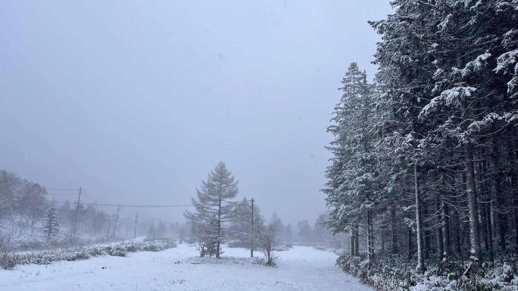 Sachinoyu Hotel Shiga Kogen Yamanouchi  Εξωτερικό φωτογραφία