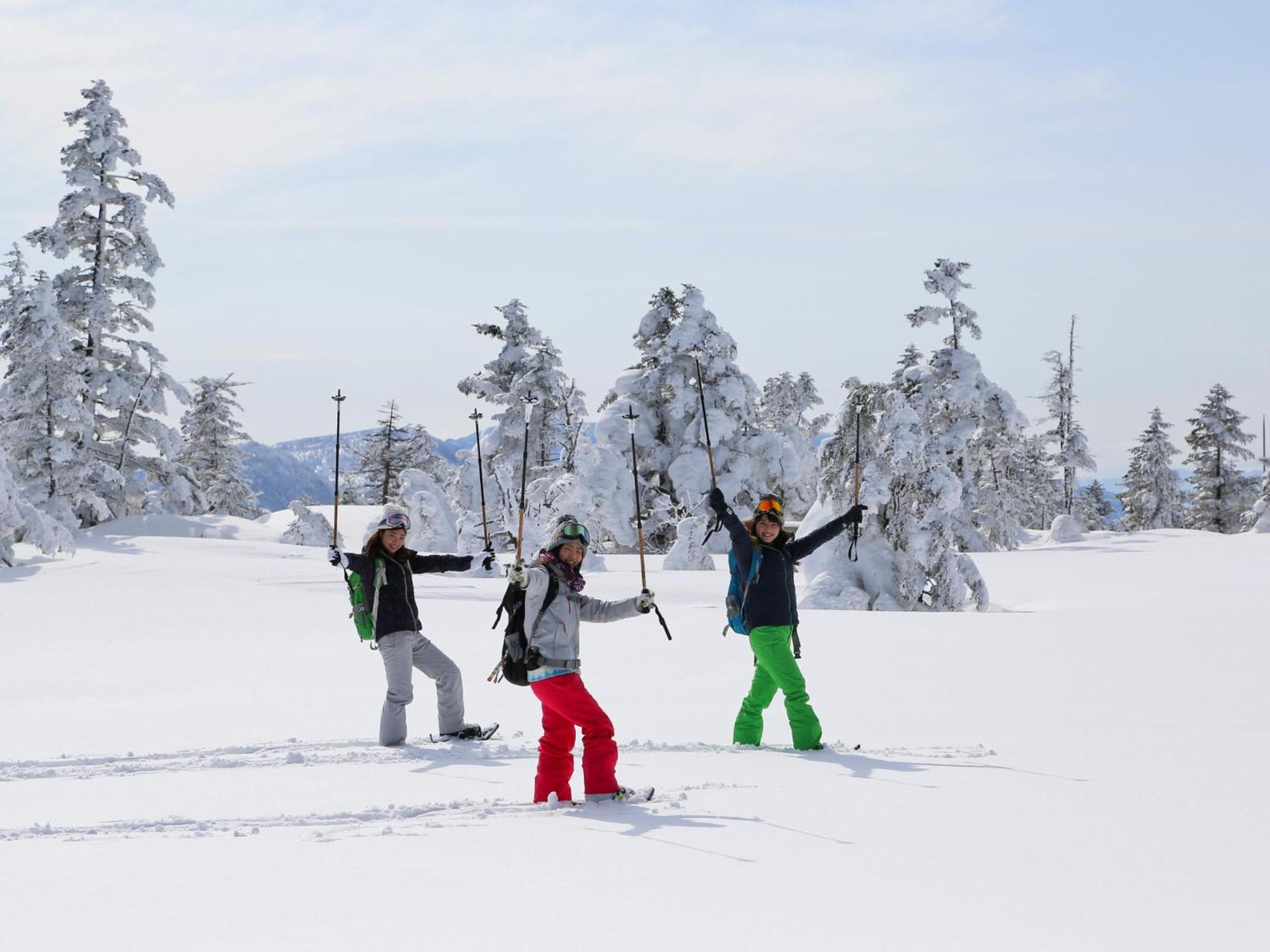Sachinoyu Hotel Shiga Kogen Yamanouchi  Εξωτερικό φωτογραφία