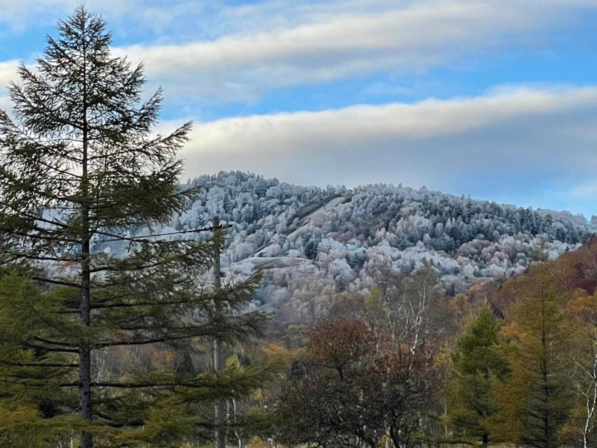 Sachinoyu Hotel Shiga Kogen Yamanouchi  Εξωτερικό φωτογραφία