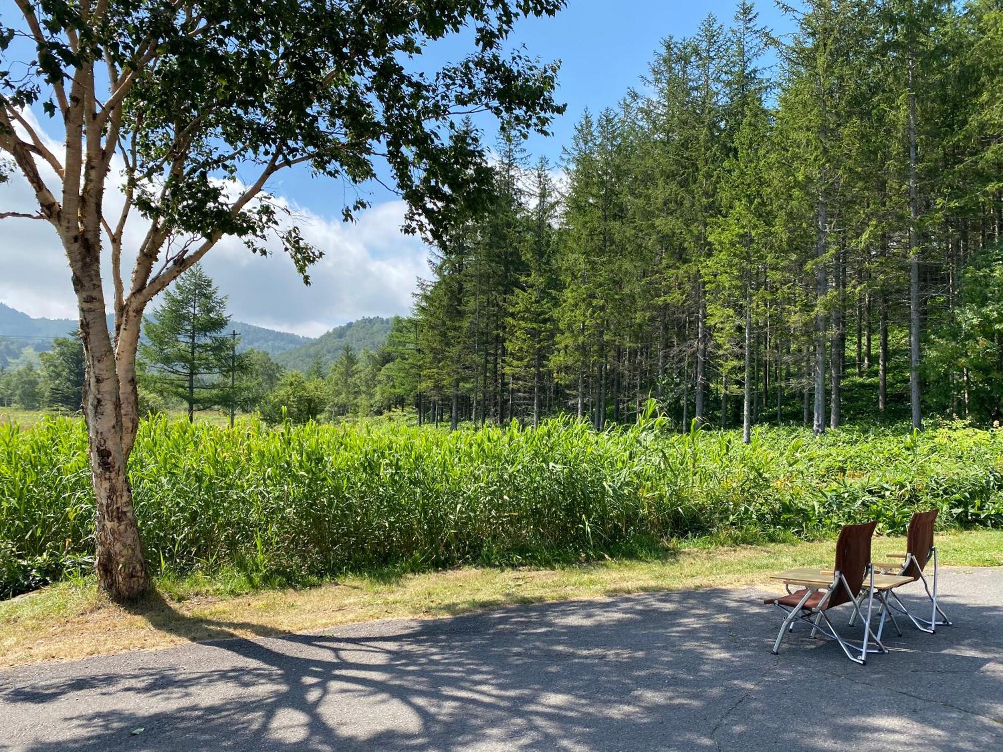 Sachinoyu Hotel Shiga Kogen Yamanouchi  Εξωτερικό φωτογραφία
